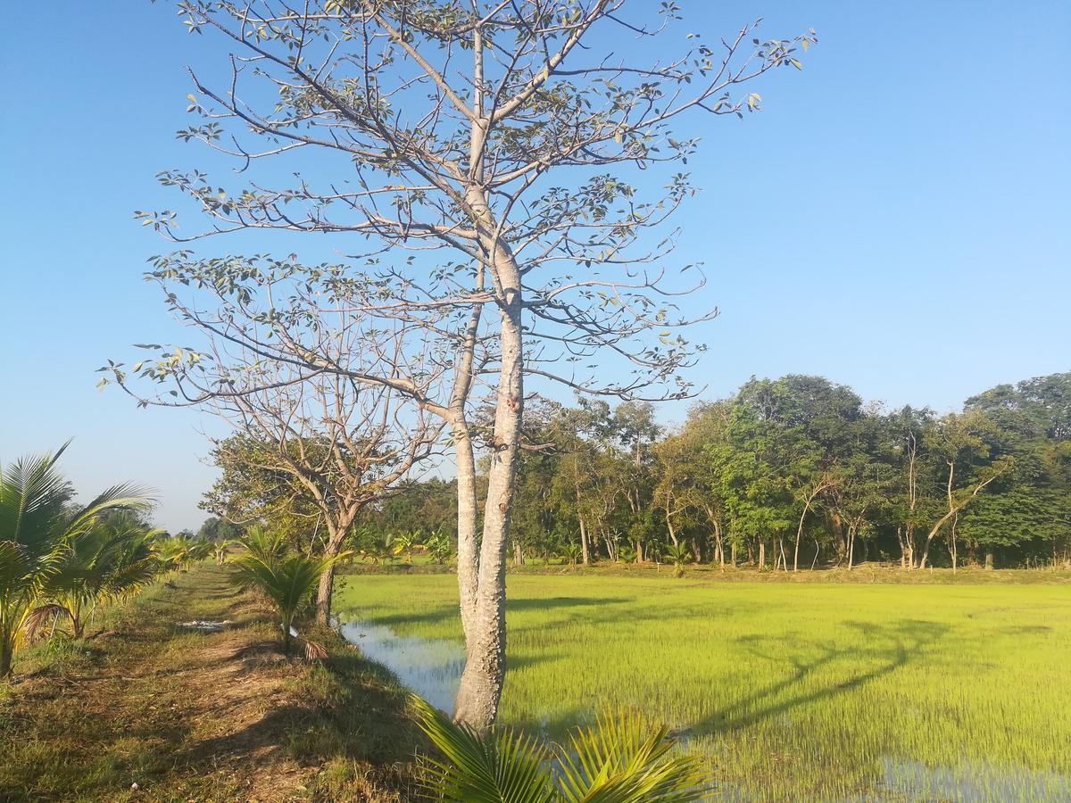 Bn Resort Ban Nong Chum Saeng Bagian luar foto